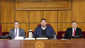 Villate insta a aprobar ley de protección de datos personales antes de regular la IA