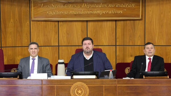 Villate insta a aprobar ley de protección de datos personales antes de regular la IA