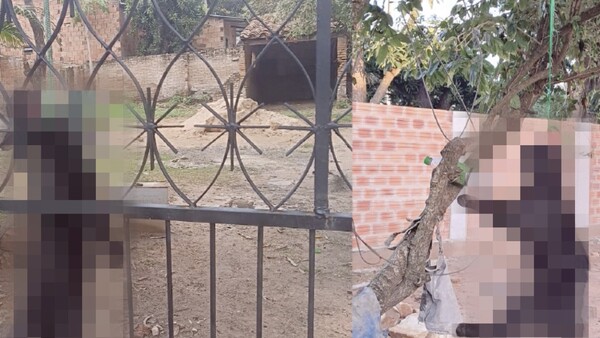 Sacrificaron a dos gatos negros en payé por una casa
