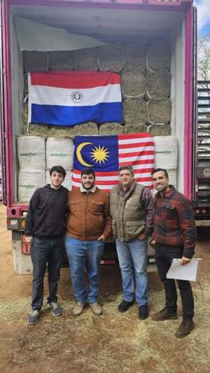 Envían heno paraguayo a Malasia