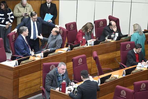 AUDIO: Santiago Peña veta ley que crea Juzgados de la familia - Ancho Perfil - ABC Color