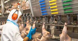 La Nación / Habilitan nuevamente el ingreso de productos avícolas desde Río Grande do Sul, tras el fin de gripe aviar