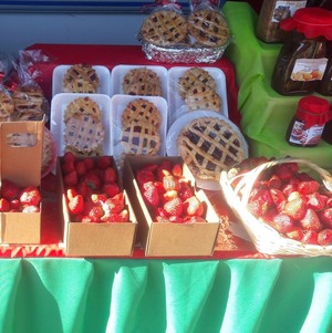 Frutilleros de Estanzuela tendrán su propio showroom