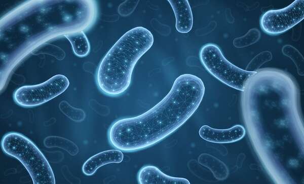 Día Internacional del Microbioma: el ‘Arca de Noé microbiana’ toma forma - Ciencia - ABC Color