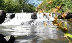 ITAIPU conmemora 41 años de creación de las reservas Tatí Yupí, Itabo, Limoy y del Refugio Biológico Mbaracayú