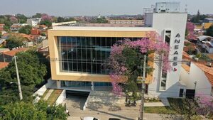 ANEAES admite a 412 profesionales para integrar el Registro Nacional de Pares Evaluadores - El Trueno