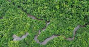 La Nación / 34 años protegiendo vida: el bosque Mbaracayú, refugio de biodiversidad, cultura y esperanza