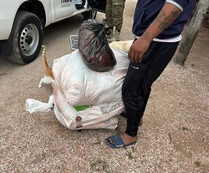 Incautan carne posiblemente robada en puerto de Vallemí – La Mira Digital