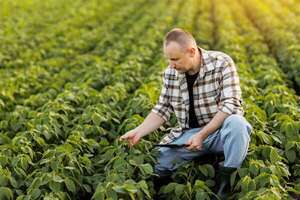 La agricultura digital transforma el campo paraguayo  - ABC Rural - ABC Color