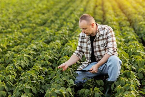 La agricultura digital transforma el campo paraguayo - ABC Rural - ABC Color