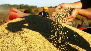 El agro, disconforme con retenciones del Gobierno de Milei