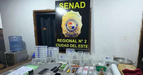 Diario HOY | Carpintería ocultaba esquema narco-criptominero