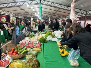 MAG fortalece agricultura familiar en San Pedro con inversión de más de G. 1.600 millones - .::Agencia IP::.