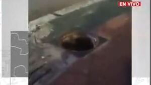 Se cayó en el registro sin tapa, en plena avenida Mariscal López