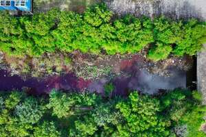 Investigan contaminación en arroyo Jaén