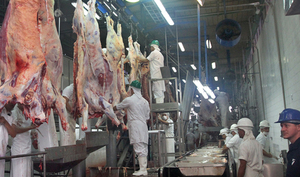 Paraguay's meat sector prepares for sanitary audits by the U.S. and Japan - .::Agencia IP::.