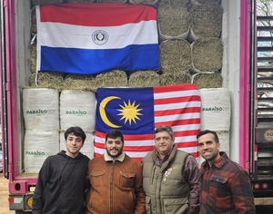 Export diversification: Paraguay ships high-quality forage to Malaysia - .::Agencia IP::.