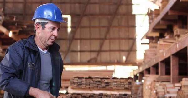Diario HOY | Empleo e innovación: sector forestal se perfila como pilar de la economía