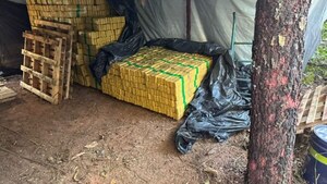 Policía brasileña se incauta de 8 toneladas de marihuana en estado fronterizo con Paraguay