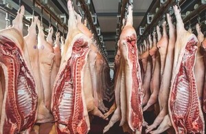 Industria porcina paraguaya consolida su crecimiento tras apertura de nuevos mercados internacionales