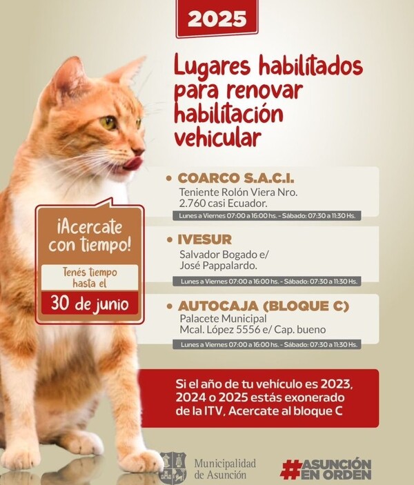 Este lunes vence plazo para renovar habilitación municipal de vehículos - .::Agencia IP::.