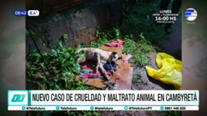 Nuevo caso de crueldad y maltrato animal en Cambyretá
