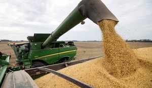 Argentina volver谩 a subir los derechos de exportaci贸n para la soja y el ma铆z
