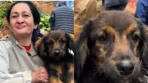 ¡Ladridos de un héroe! Apolo, el perrito que salvó a su familia de un derrumbe