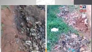 Grave deterioro de calle en Ñemby persiste desde hace 20 años