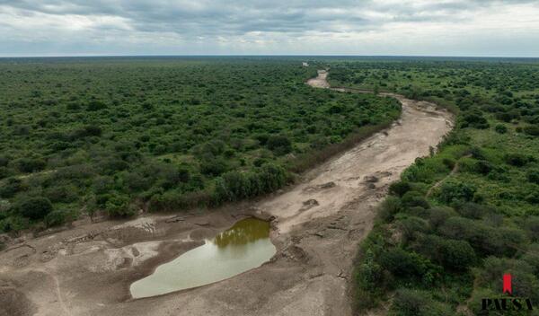 En busca de la tierra prometida | Pausa
