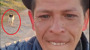 Paraguayo viral: “Dije que no iba a llorar, pero veo a ese perro y lloro”, dijo