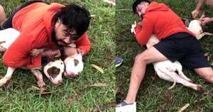 La Nación / Inmovilizó con muay thai a dos pitbulls que lo atacaron