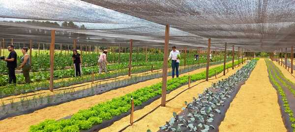 Tecnología y sostenibilidad agropecuaria en “Raíces de futuro”