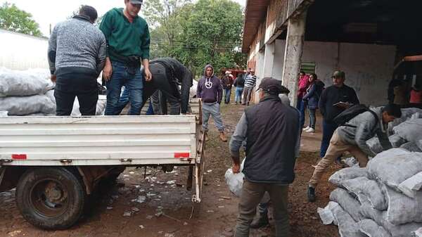 Paraguarí se prepara para el cultivo de 333 hectáreas de papa y lidera la siembra a nivel nacional - Nacionales - ABC Color