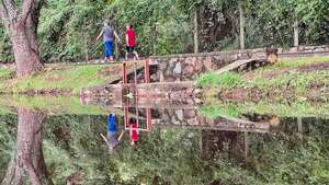 Retiran carteles del parque Ñu Guasu para reducir la contaminación visual - Nacionales - ABC Color