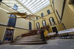 El Museo Nacional de Brasil reabre parcialmente siete años después del incendio - Cultura - ABC Color