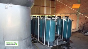 Video: El Chaco Avanza | Agua Trébol