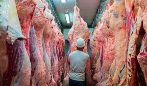 Avanzan gestiones para exportar carne boliviana hacia Chile