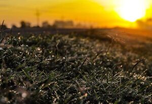 Anuncian martes con amanecer frío y con escarchas - .::Agencia IP::.