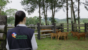 Trazabilidad ganadera en Paraguay: el sistema SITRAP alcanza 92% de avance en su implementación por etapas