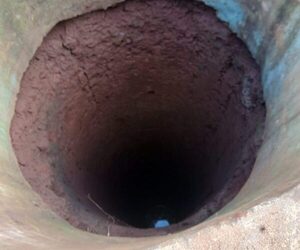 Rescatan a cabra que cayó a pozo
