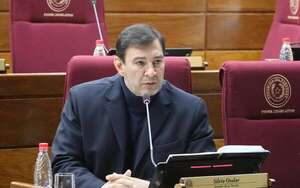“Ya es momento de jugadores de refresco”, dice Beto Ovelar sobre cambios en el Gabinete de Peña - Política - ABC Color