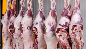 El Día de la Ganadería Chaqueña se centró en la producción de carne de calidad