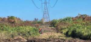 Empresa española es subcontratista para obra de 500 km de LT, en 220 kV, en el Chaco - Economía - ABC Color