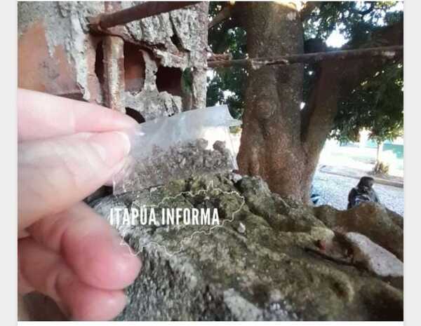 ¡Encuentran marihuana en la muralla de una escuela!
