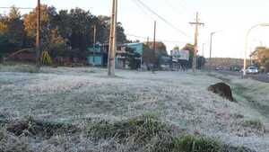 Agricultor falleció por hipotermia: ya son 4 las víctimas del frío