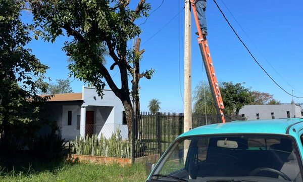 ANDE ejecutó 3.700 órdenes de trabajo en el operativo Alto Paraná 3