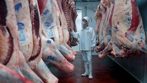 Exportaciones de carne bovina superaron US$ 1.000 millones en los primeros seis meses del año