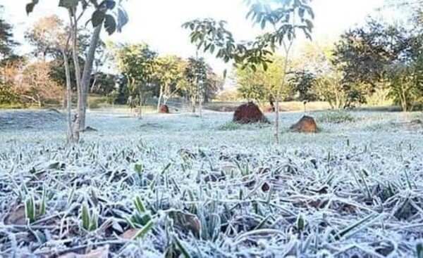 Este miércoles persiste el ambiente frío y con escarchas