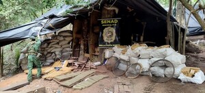 Causan perjuicio superior a USD 2 millones con eliminación de base logística narco en Amambay - .::Agencia IP::.